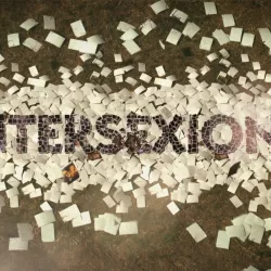 Intersexions