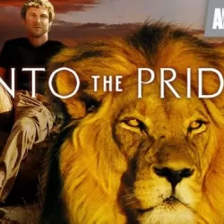 Into the Pride