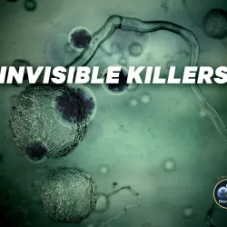 Invisible Killers