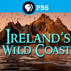 Ireland's Wild Coast