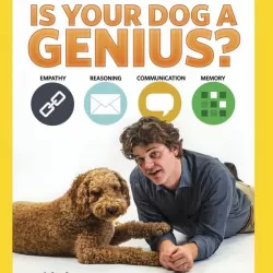 Is Your Dog A Genius?