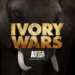 Ivory Wars