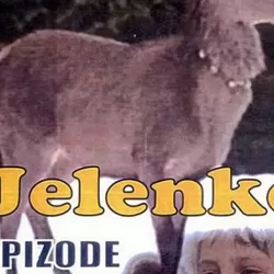 Jelenko