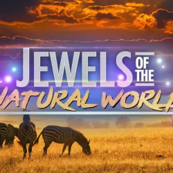 Jewels Of The Natural World