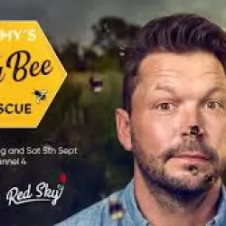 Jimmy's Big Bee Rescue