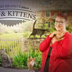 Jo Brand's Cats & Kittens