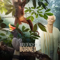 Judi Dench's Wild Borneo Adventure