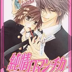 Junjo Romantica: Pure Romance