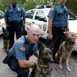 K-9 Cops