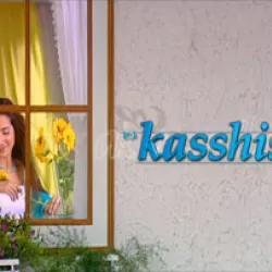 Kasshish