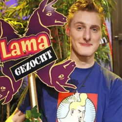 Lama Gezocht