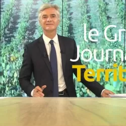 Le Grand JT des territoires