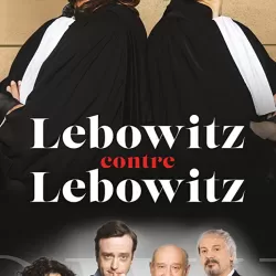 Lebowitz vs Lebowitz