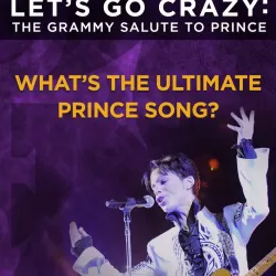 Let's Go Crazy: The Grammy Salute to Prince