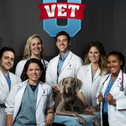 Life At Vet University