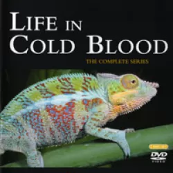 Life in Cold Blood