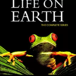 Life on Earth