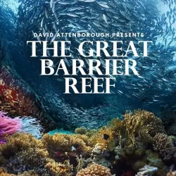 Life on the Barrier Reef