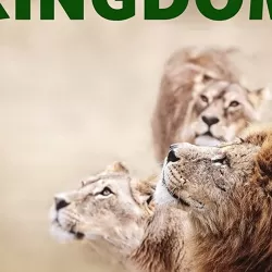 Lion Kingdom