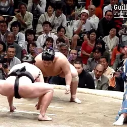 Live: Grand Sumo Wrestling