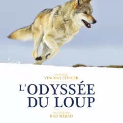 L'odyssée du loup