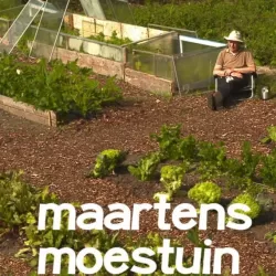 Maartens Moestuin (Maarten's Vegetable Garden)