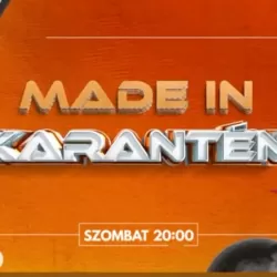 Made in Karantén