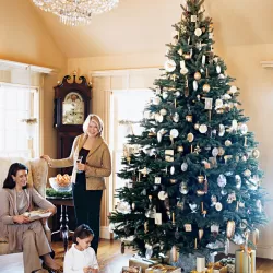 Martha Stewart - Holiday Decor