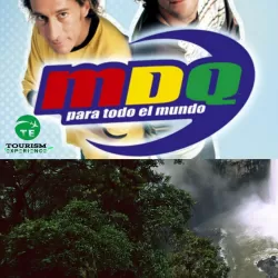 MDQ Para Todo el Mundo