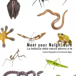Meet Your Neighbours