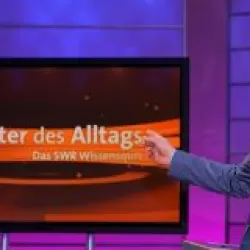 Meister des Alltags