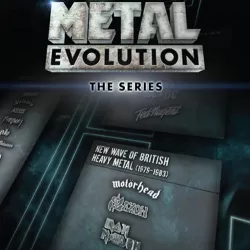 Metal Evolution