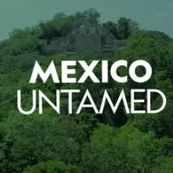 Mexico Untamed
