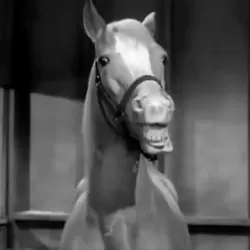 Mister Ed