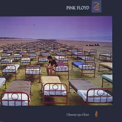 Momentary Lapse of Reason