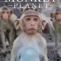 Monkey Planet