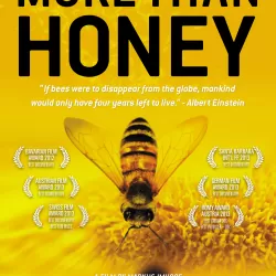 More Than Honey