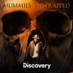 Mummies Unwrapped