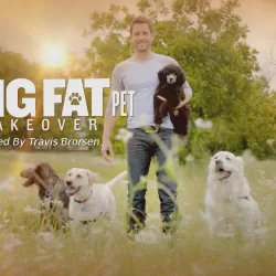 My Big Fat Pet Makeover