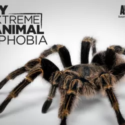 My Extreme Animal Phobia