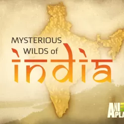 Mysterious Wilds of India