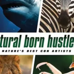 Natural Born Hustlers