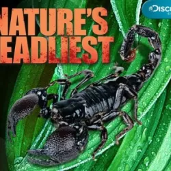 Nature's Deadliest