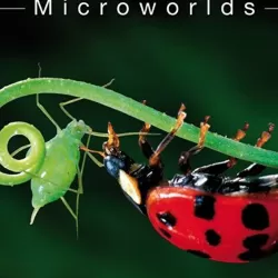 Nature's Microworlds