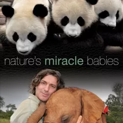 Nature's Miracle Babies