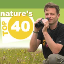 Nature's Top 40
