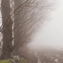 Nebbia in Val Padana