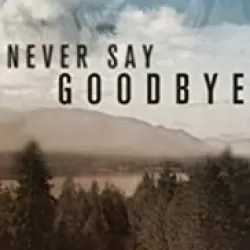 Never Say Goodbye