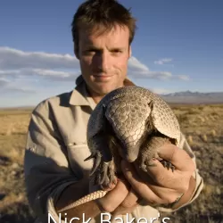 Nick Baker's Weird Creatures