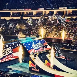 Nitro Circus Live